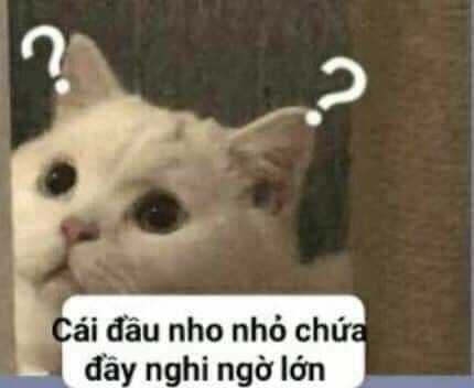 Người Mẹ Vùng Đông Bắc